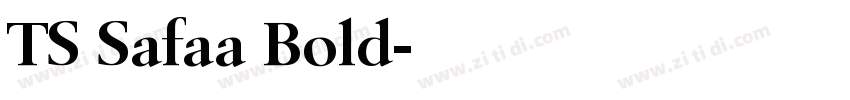 TS Safaa Bold字体转换